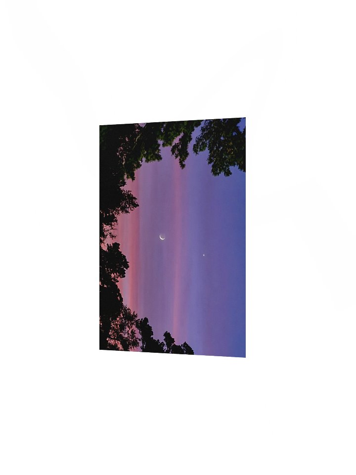 A Quiet Companion - Print product image (2)