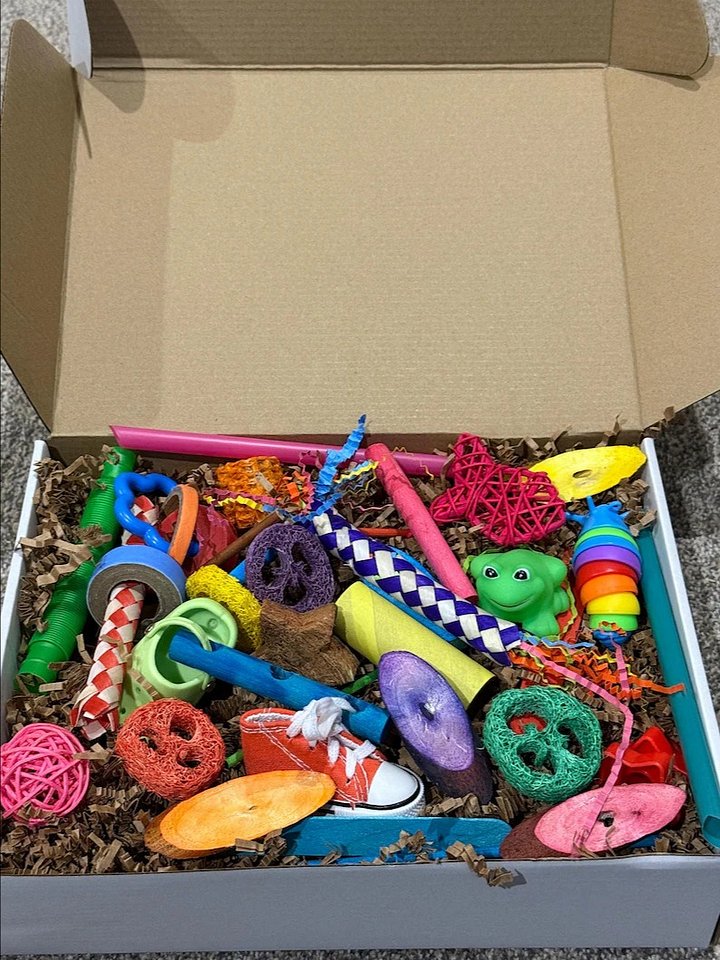 Rainbow Beaks Foraging Box product image (1)