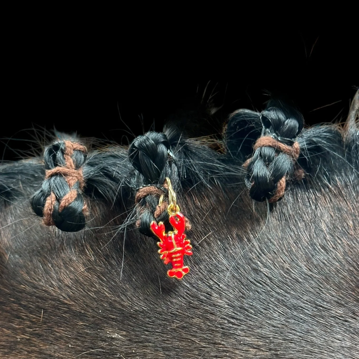 Lobster Whinny Winners Braid and Bridle Charms for Horses | Little Shop of Ponies product image (1)