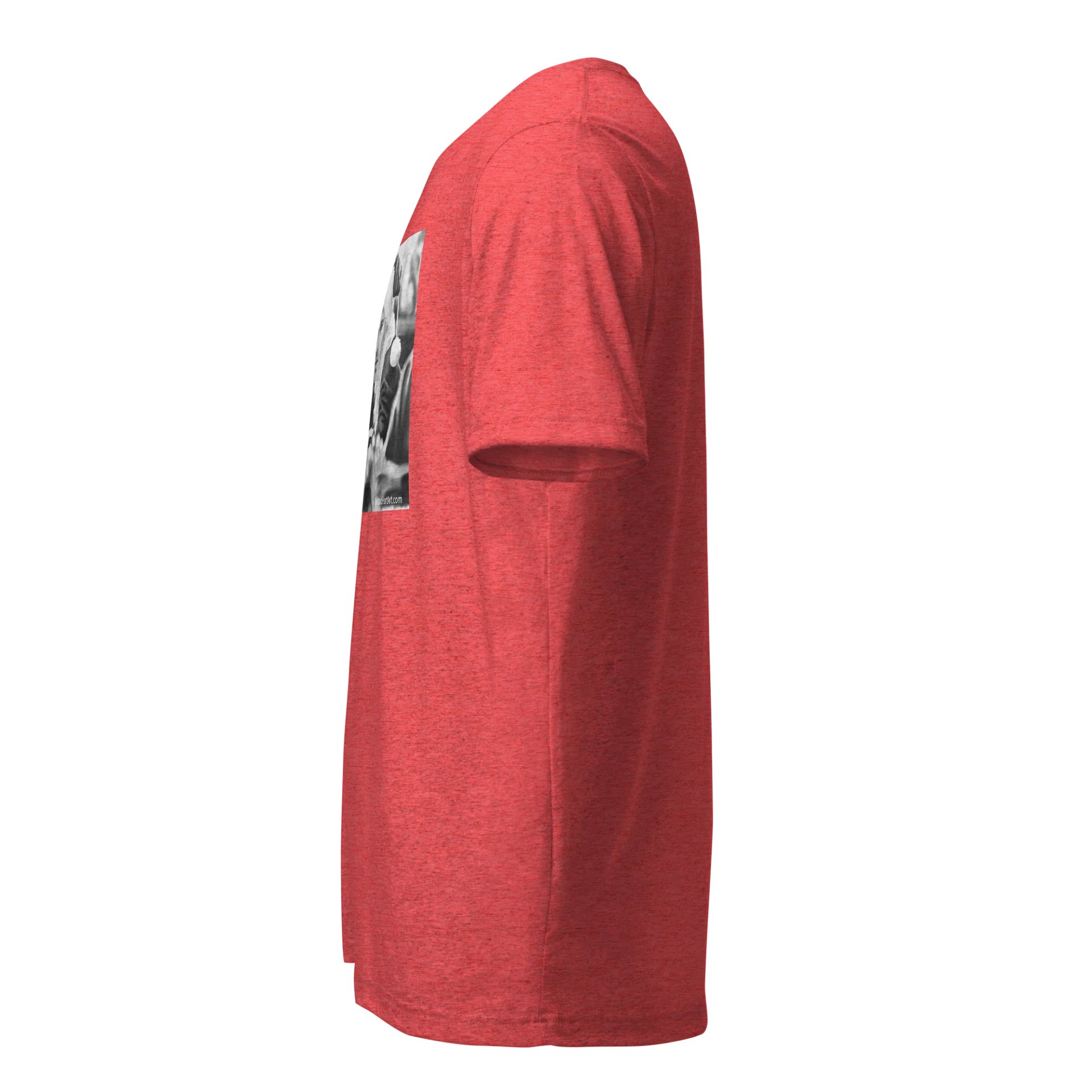 Bad Santa front only product image (2)