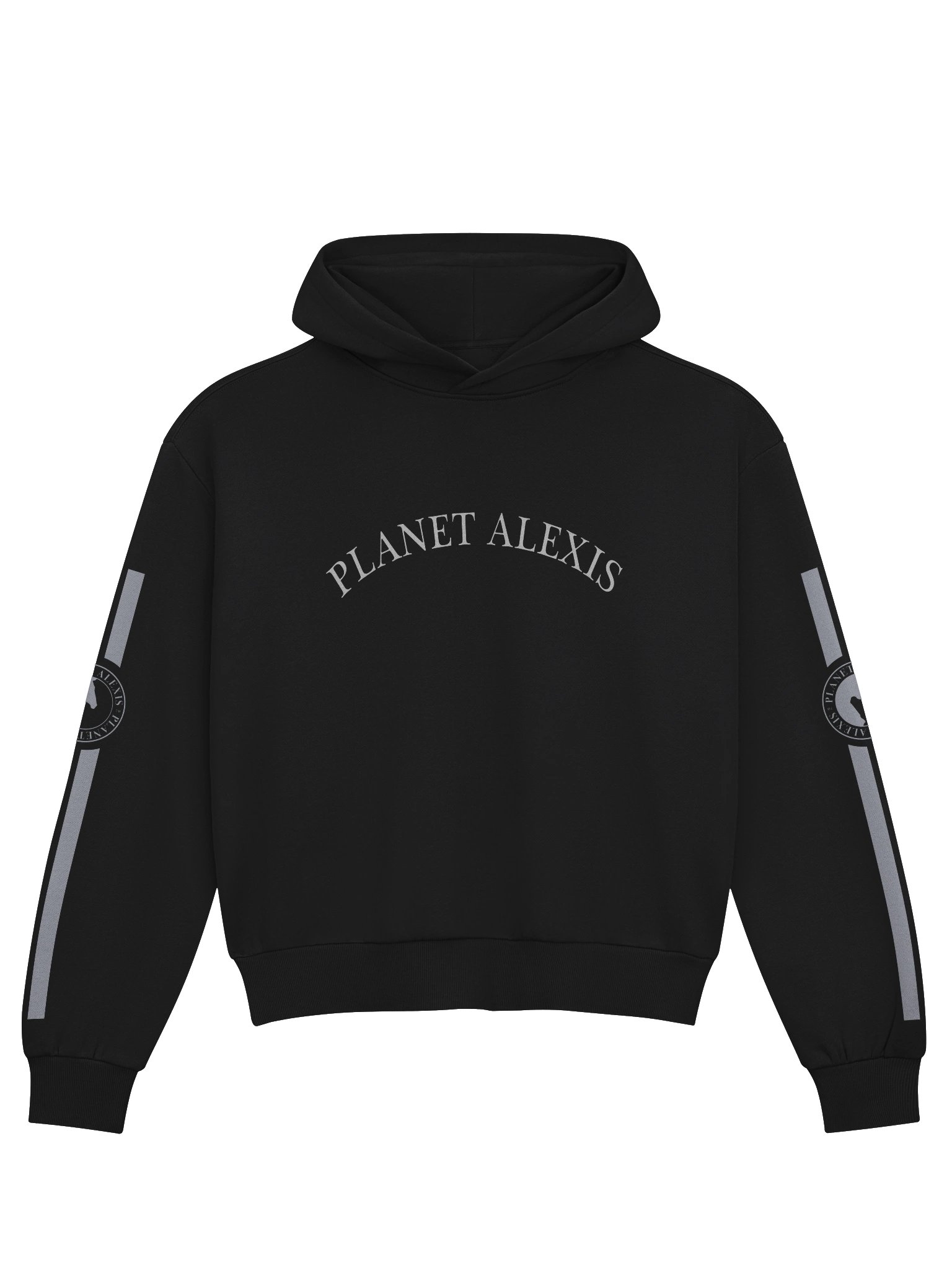 PLANET ALEXIS Arched Logo Hoodie product image (1)