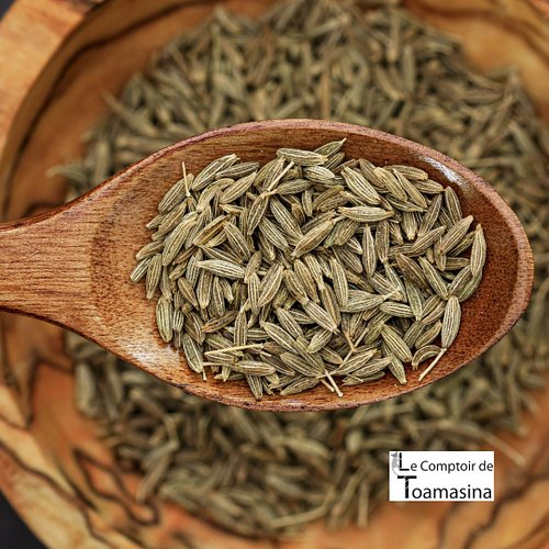 Le cumin, une graine qui réveille tout un plat ⚡️

Noisette grillée, anis, petite pointe d'amertume : le cumin a un parfum ch...