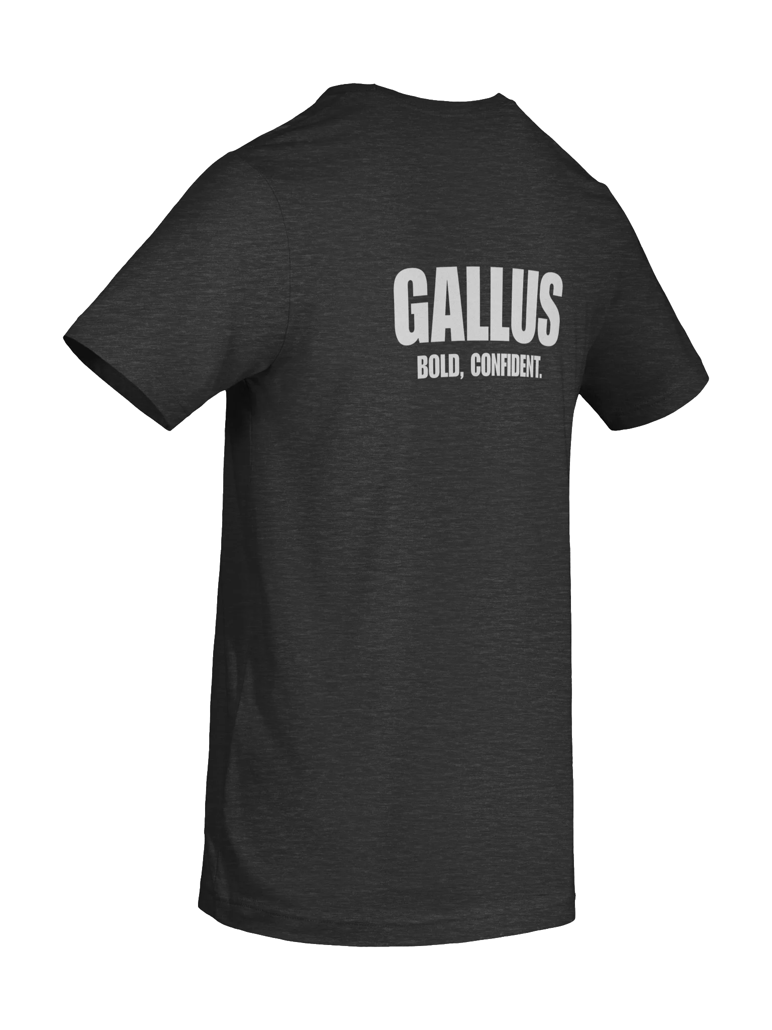 Gallus Back Text Bold Confident Tee product image (8)