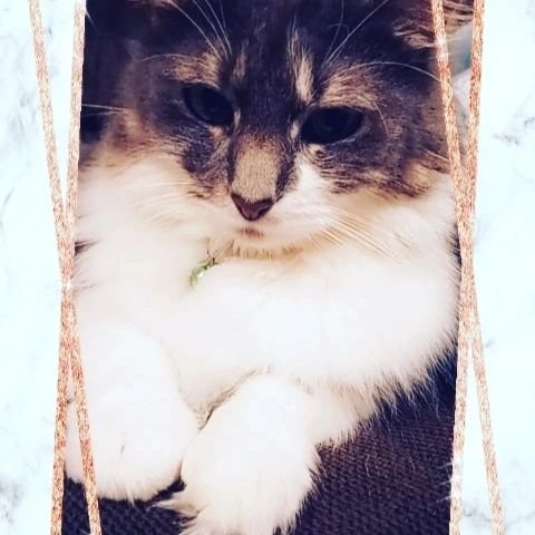 Faith being absolutely cute