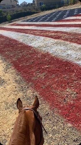 Happy 4th of July and 250th Birthday America!🇺🇸 #happy4th #independenceday #equestrian #horse