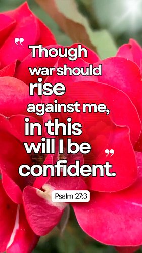 God Gives You Courage
❤️🤍❤️🤍❤️🤍❤️🤍❤️🤍❤️🤍❤️🤍
Psalm 27:3 — “Though war should rise against me, in this will I be confident.”
#B...