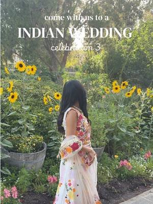 Celebration #3 …lots of needing to go hide and feed the baby 🥹😭 - would I do this again? Not sure hahaha #indianwedding #familyvlog #travelvlog #momtok 