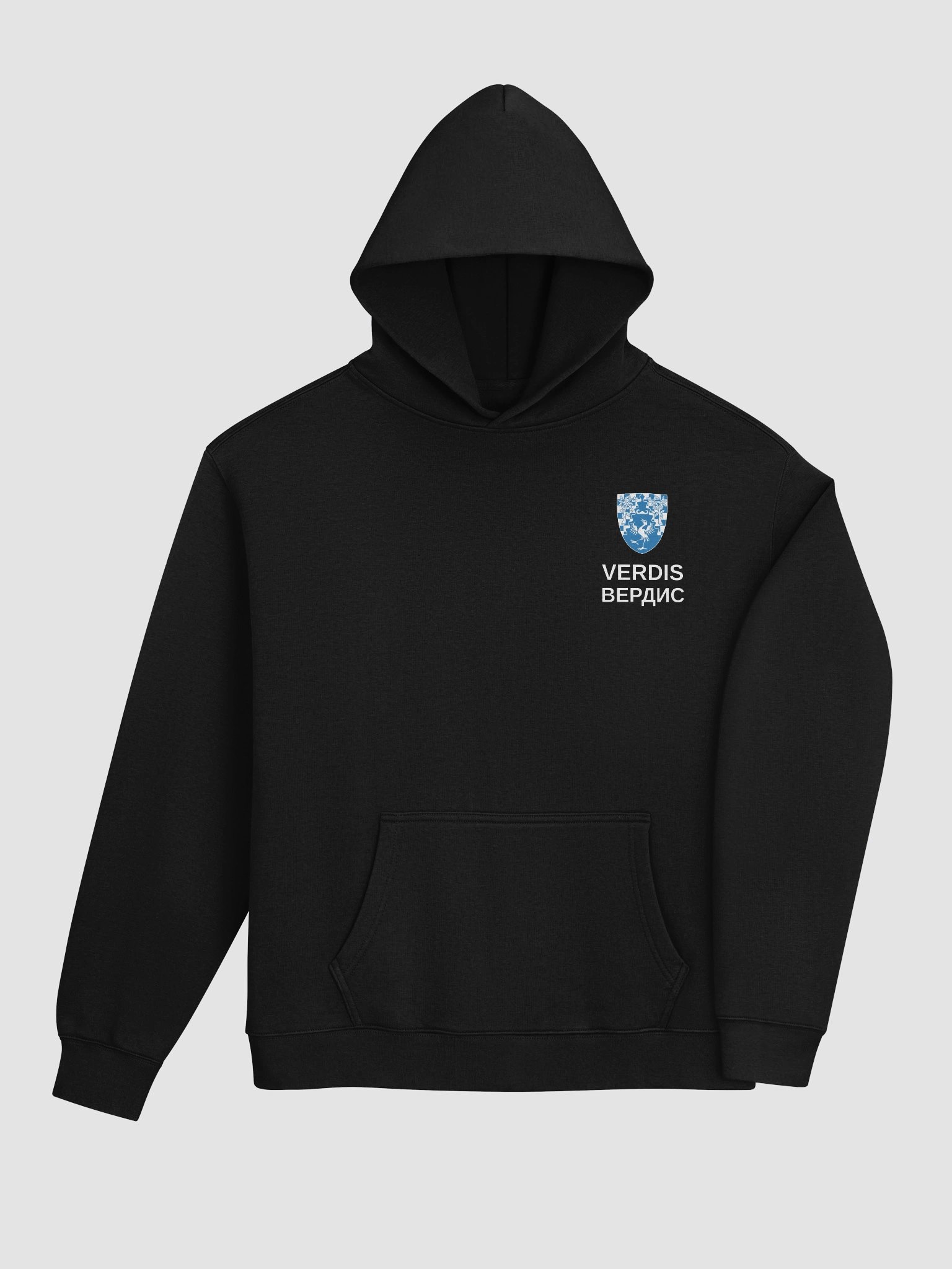 Coat of Arms Oversized Hoodie product image (4)