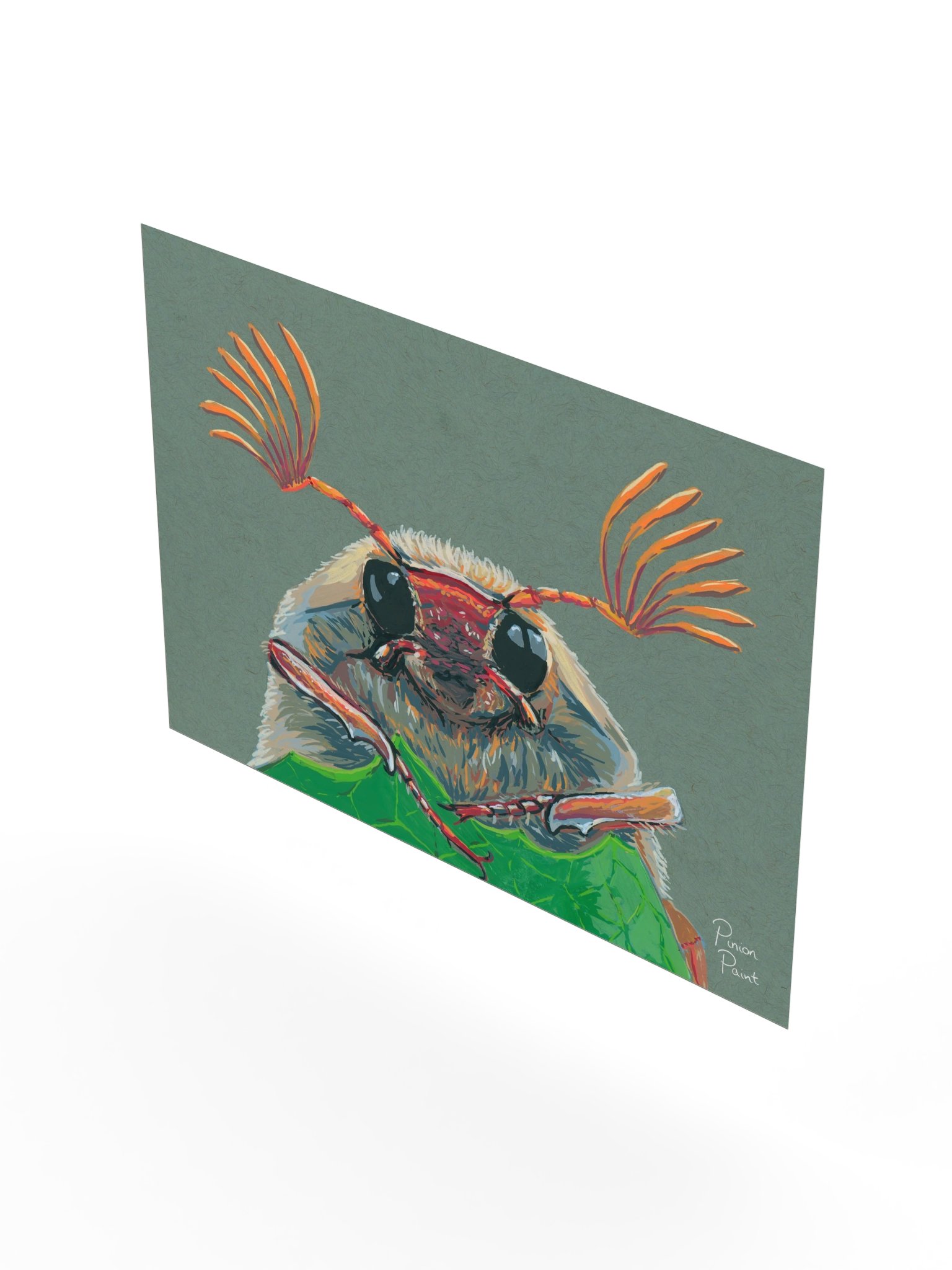 Cockchafer print product image (3)