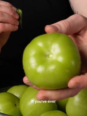 If you've ever looked at a green tomato and had no idea what to do with it, watch this. Wash them, poke holes with a toothpick so the brine gets all the way through, or this can take months. Tomatoes, celery, dill, garlic, hot peppers for heat, stronger brine than usual, grape leaves for crisp, mustard powder on top to keep mold away. This one's easily top five ferments for me. Full method linked in my bio. #fermentation #greentomatoes #fermentedtomatoes #guthealth #brinelab #dishbydavid