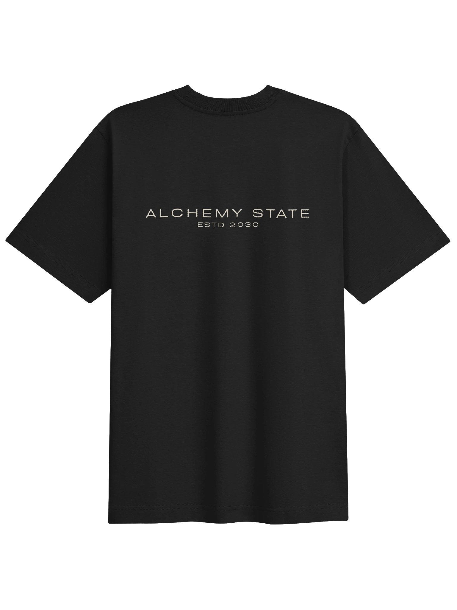 DÆMON — the definition they got wrong -- Unisex Freestyler Heavy tee product image (8)