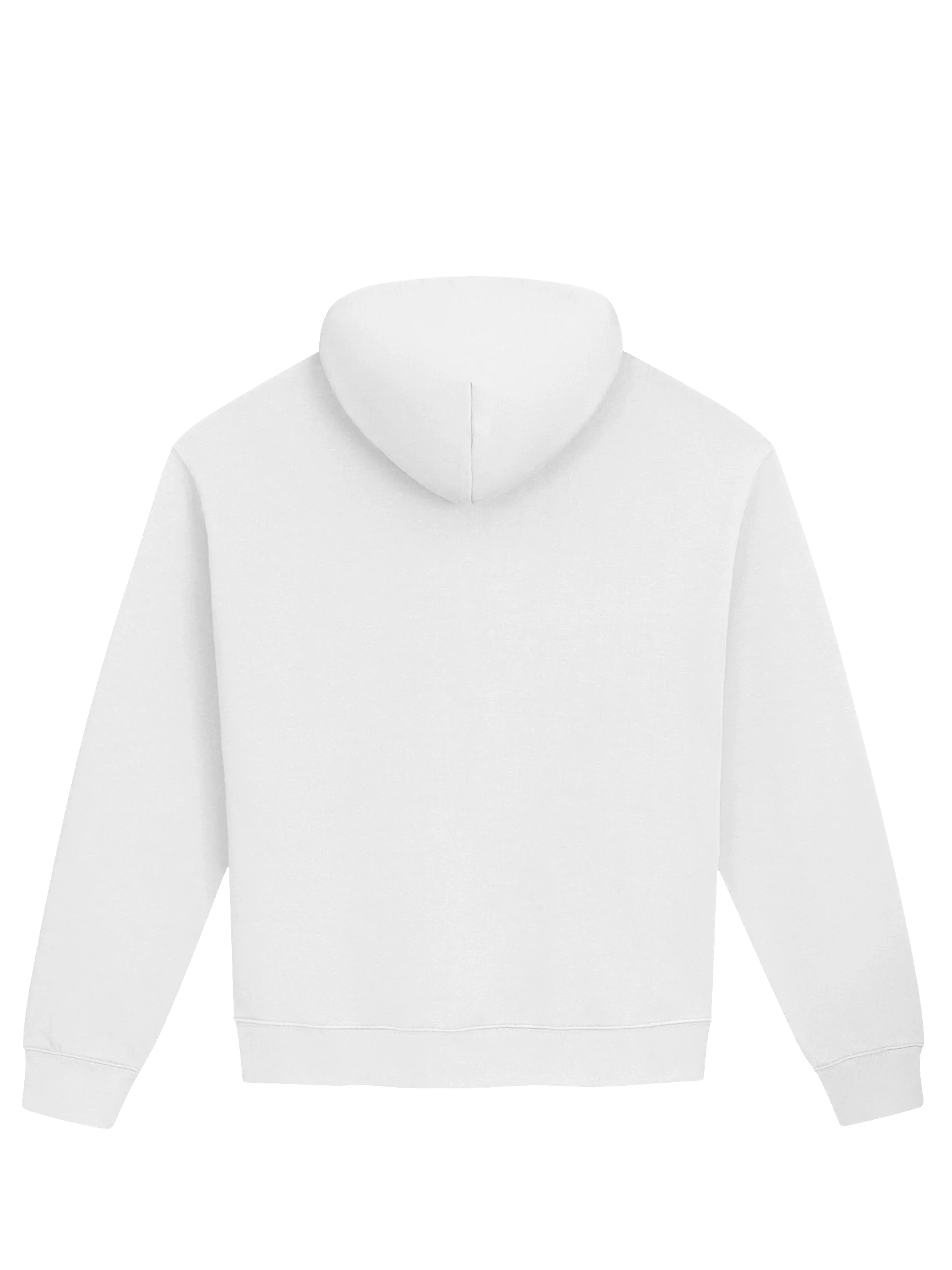 1st Drop Music - Music For Dinosaurs Unisex Hoodie