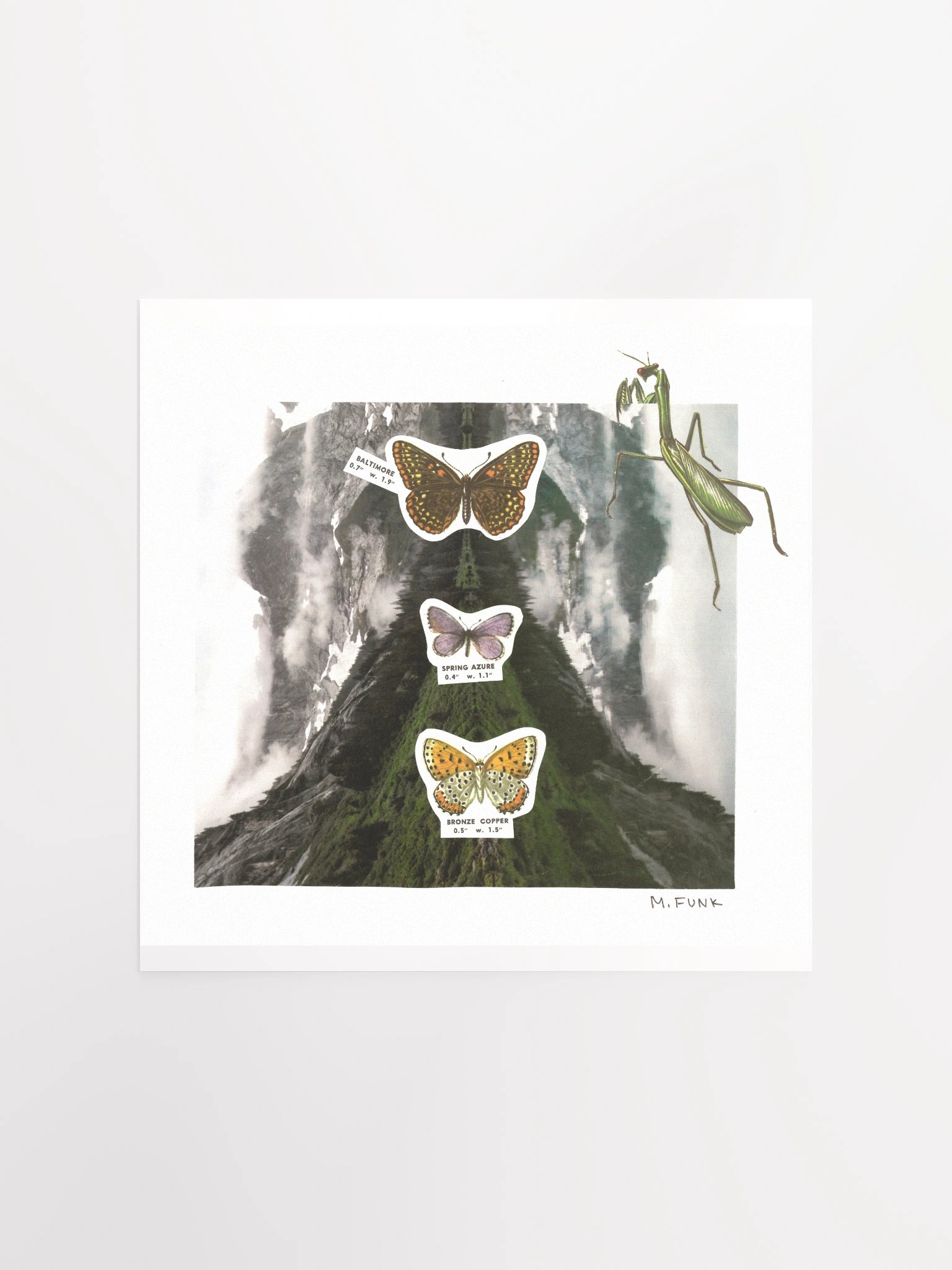 Symmetry product image (1)