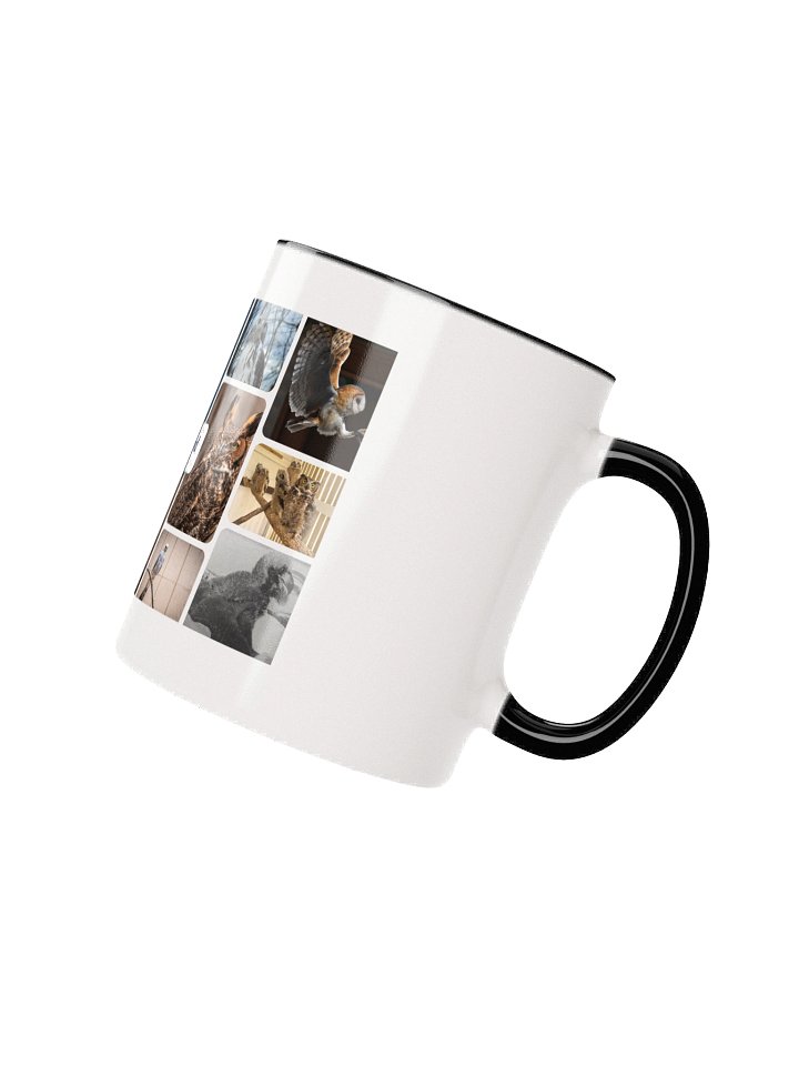 Birds of WBS Mug product image (2)