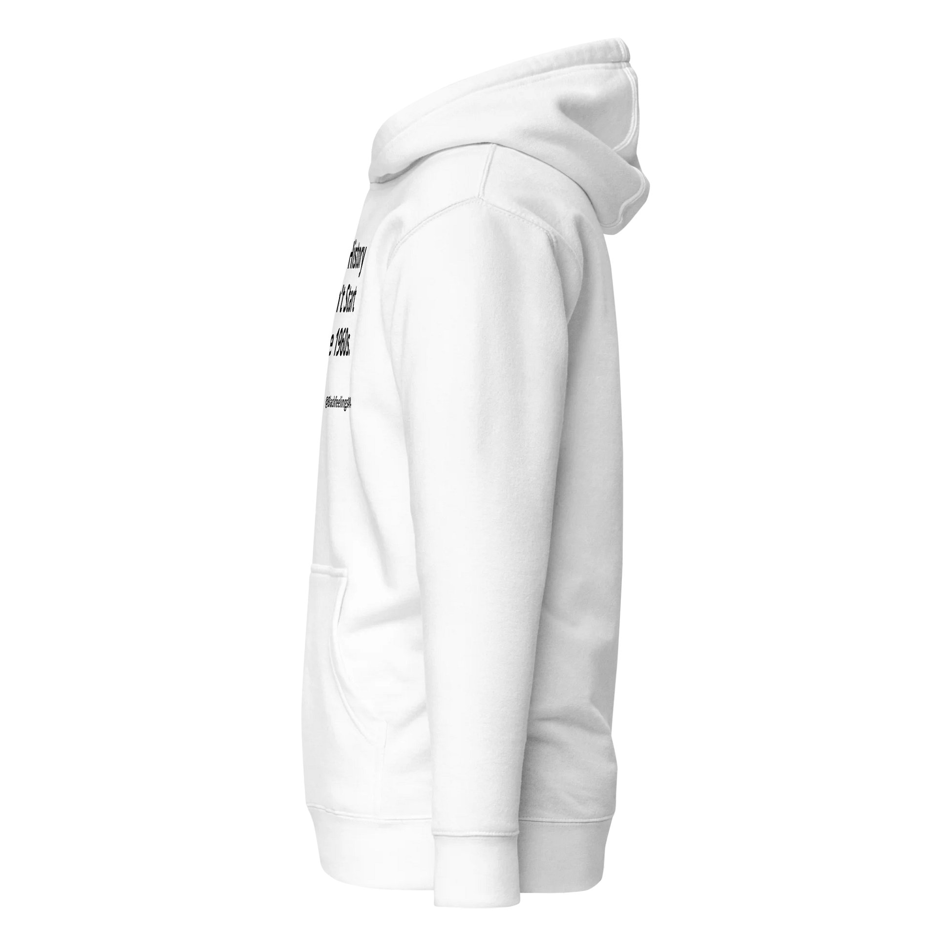 Black History Didn’t Start in the 1960s Hoodie (White) product image (4)