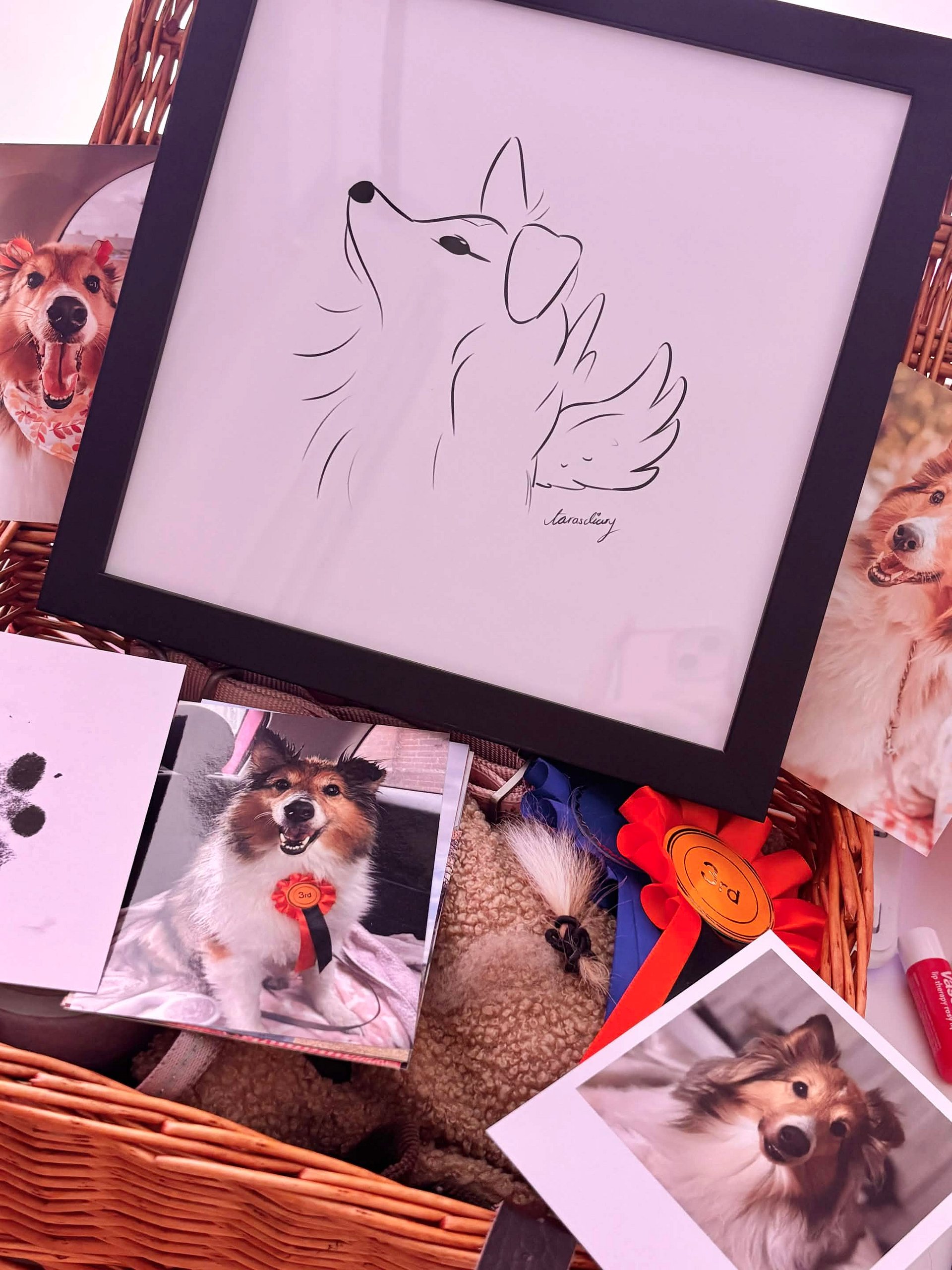 The Angel Sheltie - Framed Print product image (6)