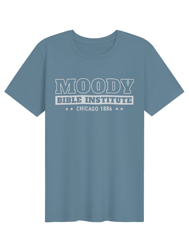 Moody Chicago T-Shirt product image (10)