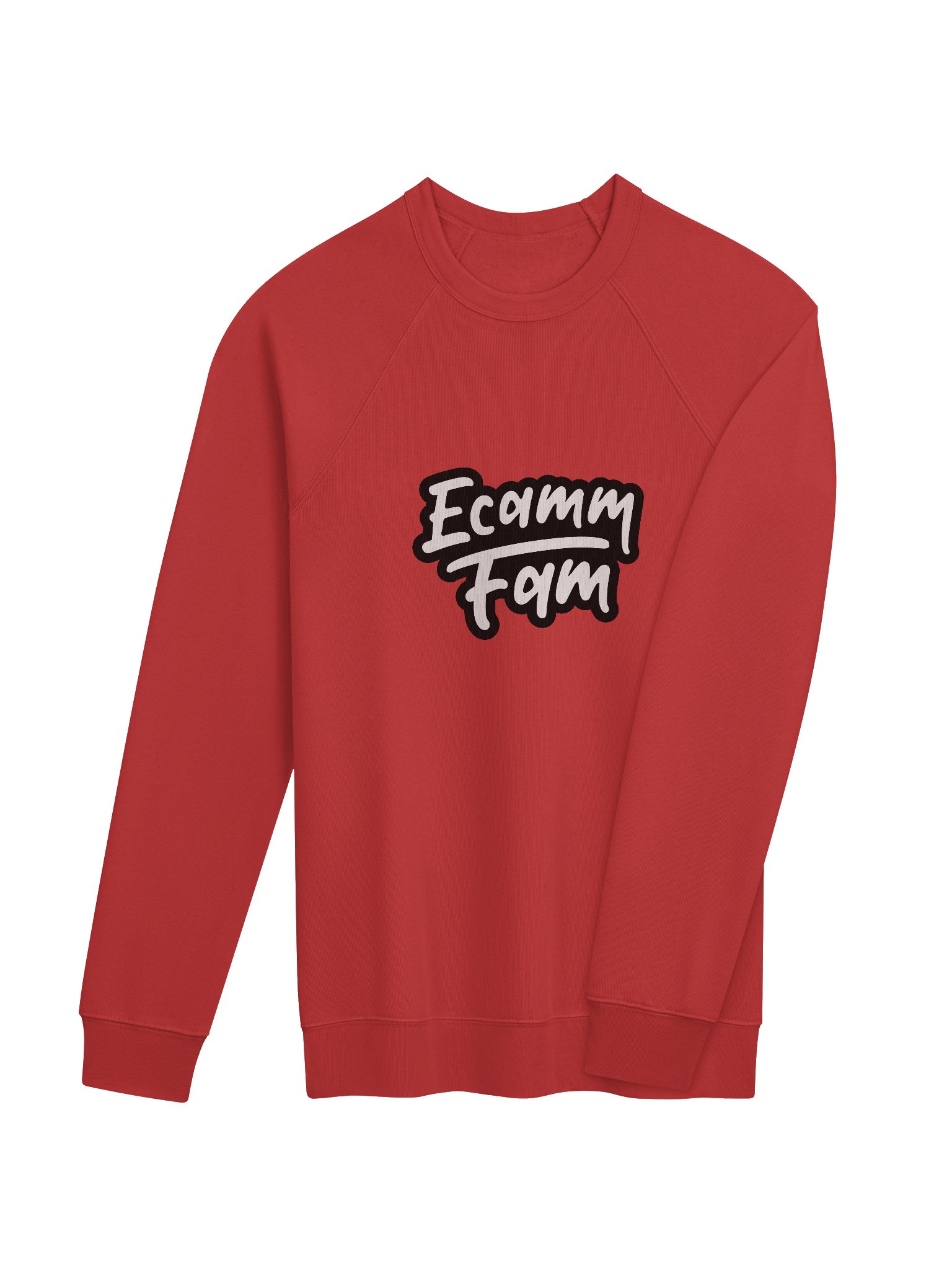 NEW Ecamm Fam Sweatshirt product image (20)