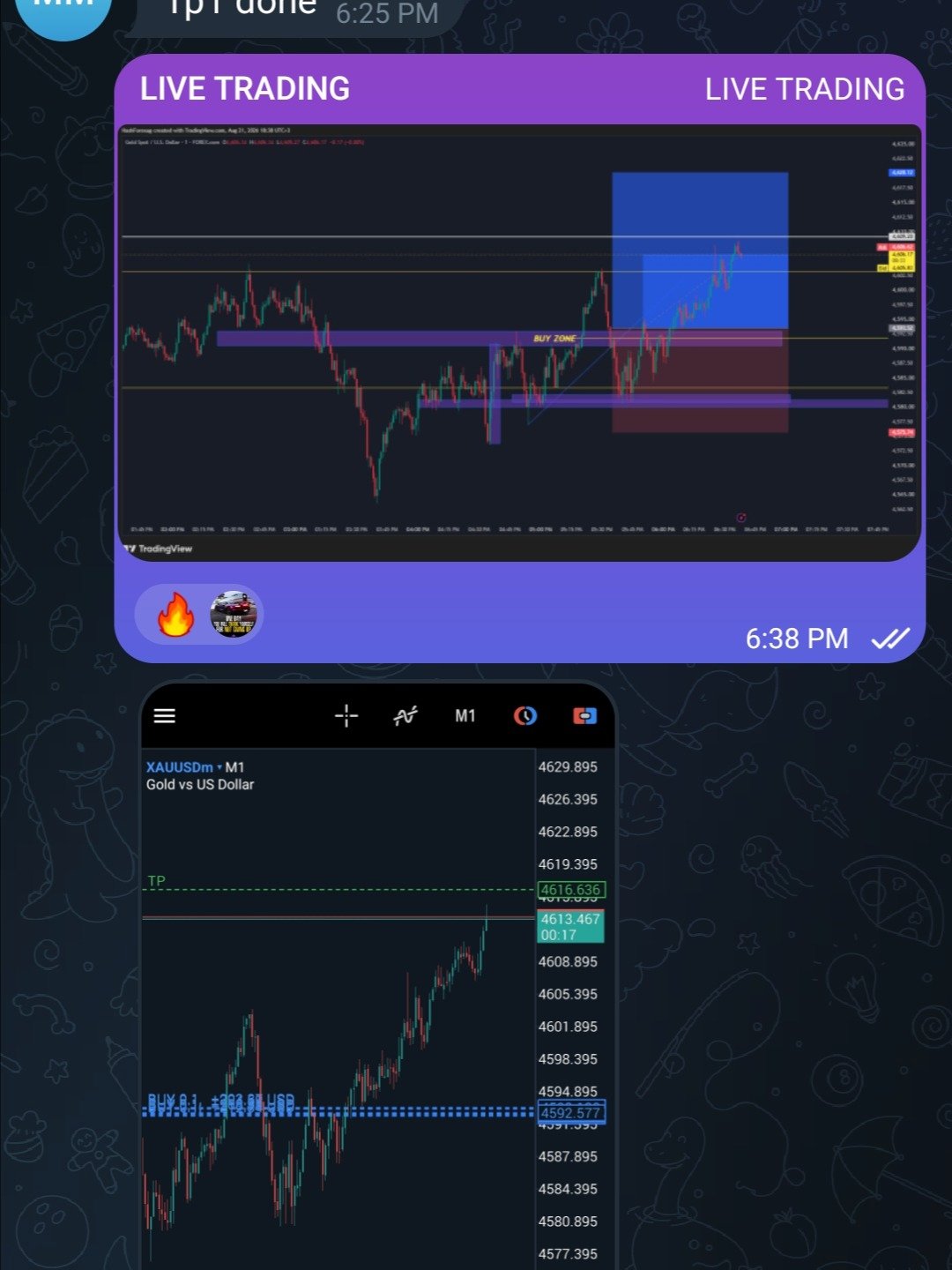 Live Forex Market Analysis - Premium Access product image (6)