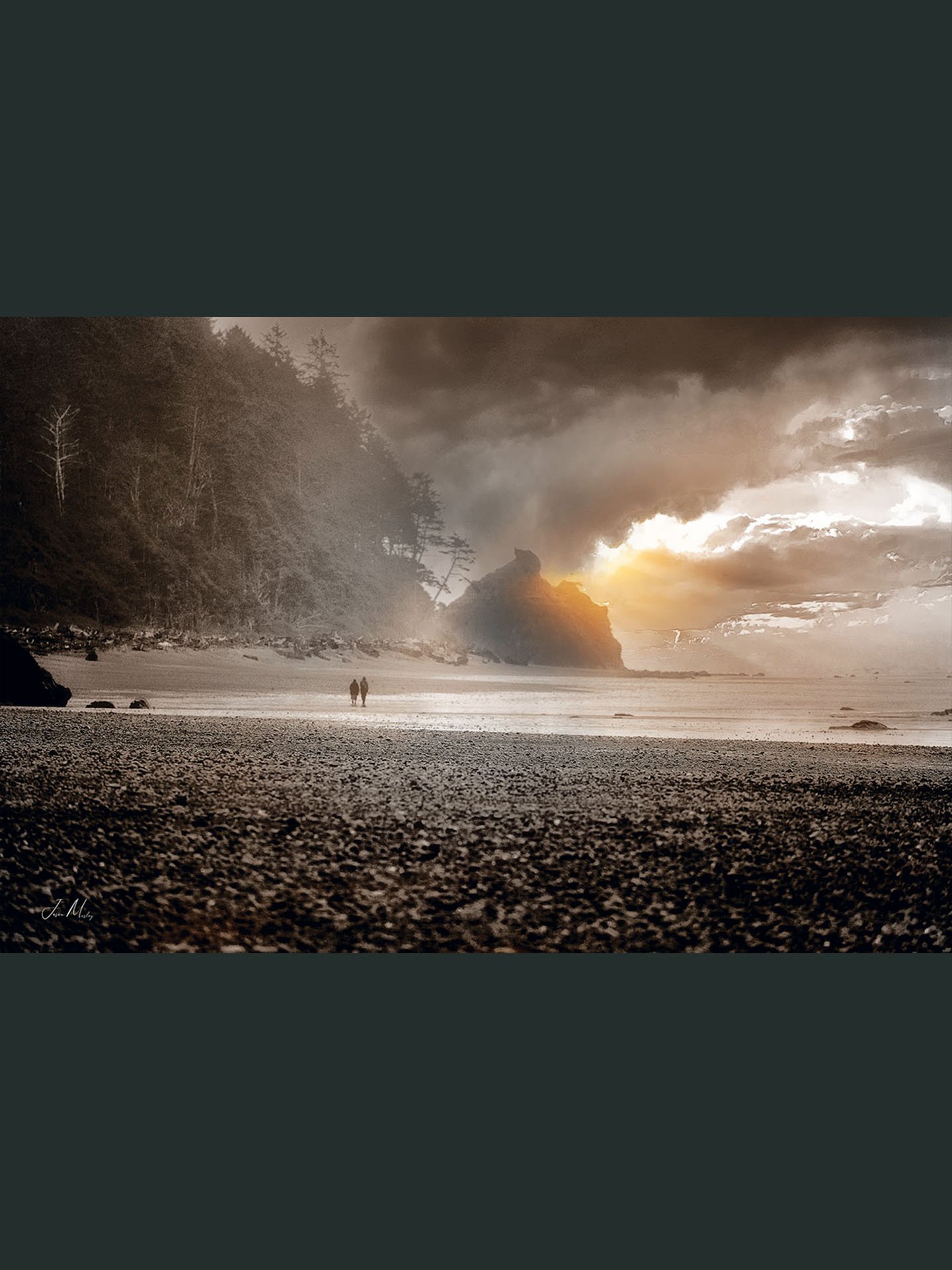 Ruby Beach (Black and white) product image (1)