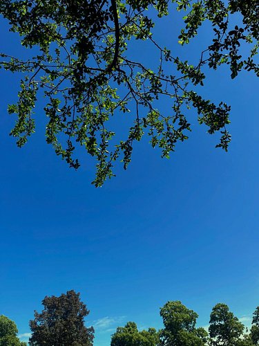 Another beautiful day 🥰☀️
#sunnyday #bliss #summer #blueskies #nature