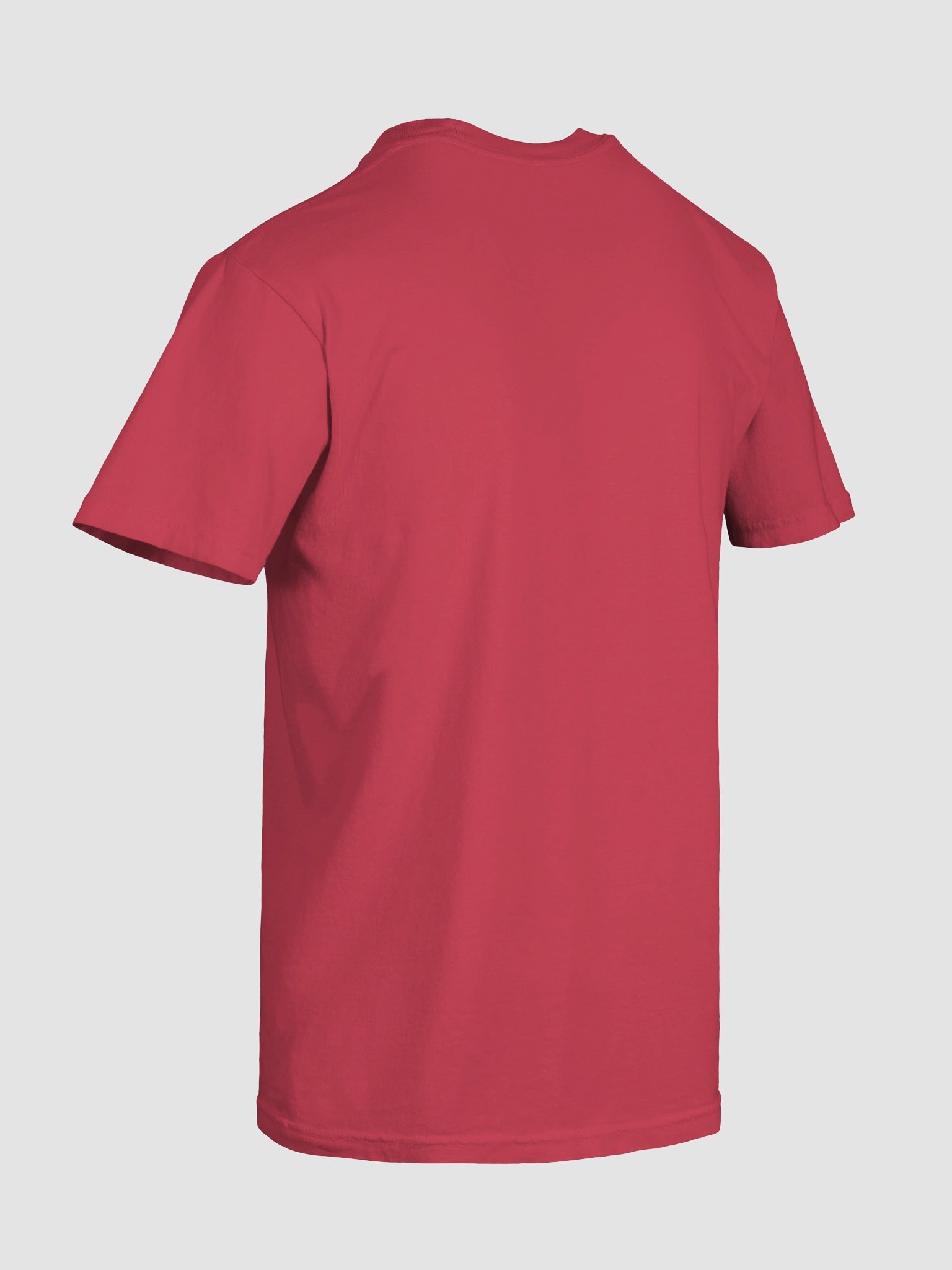 Spartan Legacy Tee product image (10)
