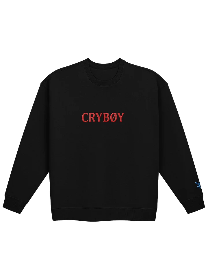 CRYBOY X RILEY WATTS product image (1)