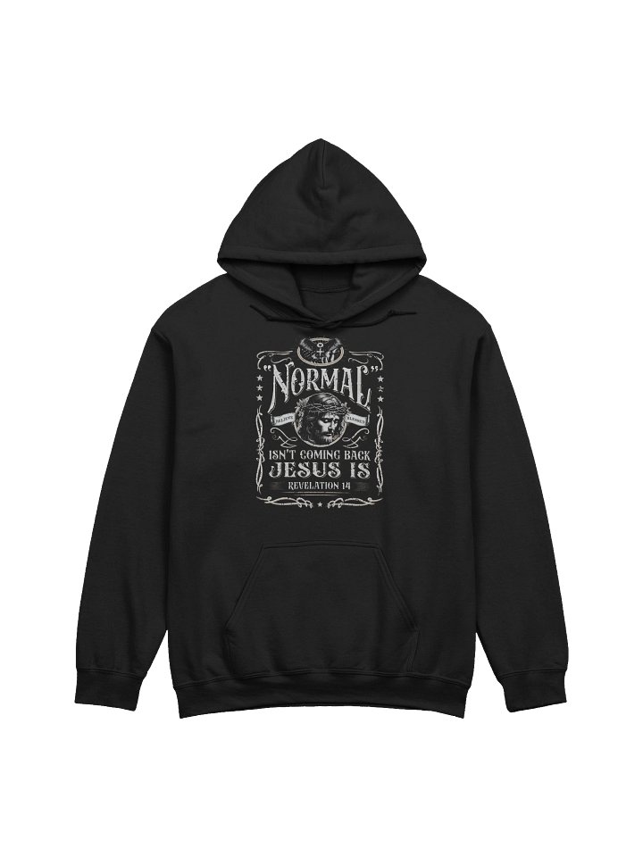 Normal Isn't Coming Back, Jesus is Unisex Hoodie product image (1)
