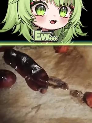Every Mans Worst Nightmare 💀 🌭 #vtuber #react #funny