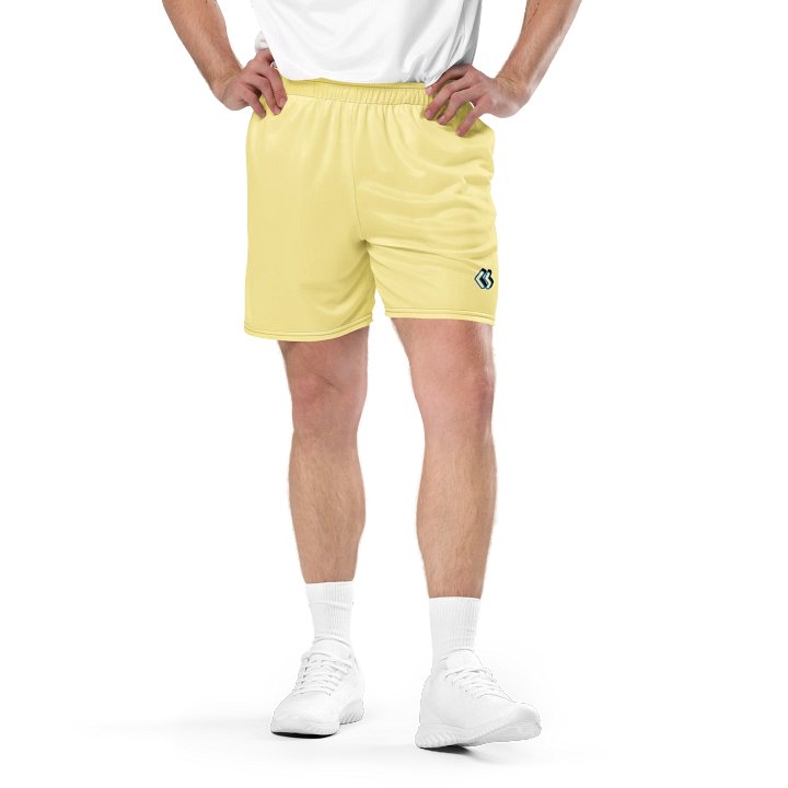 CS Shorts product image (2)