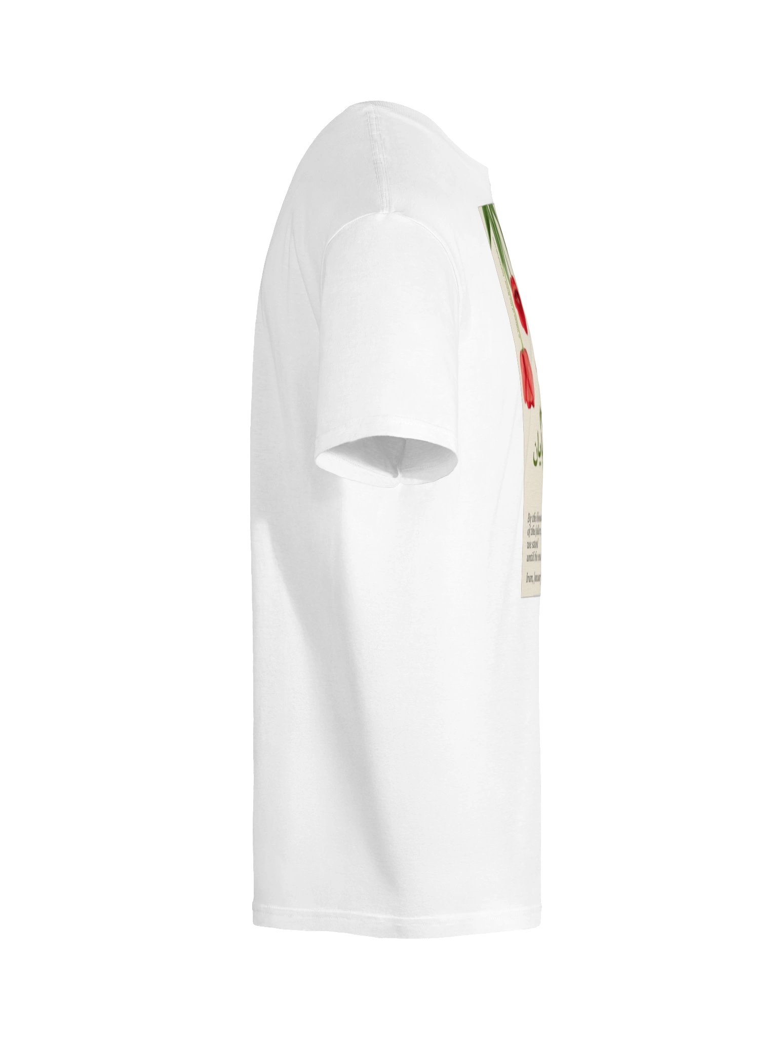 The Vow (Ghasam be khune yârân) product image (16)