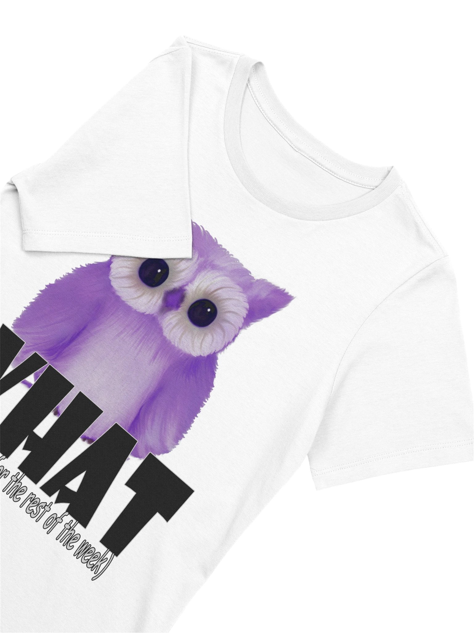 Owl "WHAT" T-Shirt. Women's Bella+Canvas Supersoft Relaxed-fit T-Shirt product image (3)