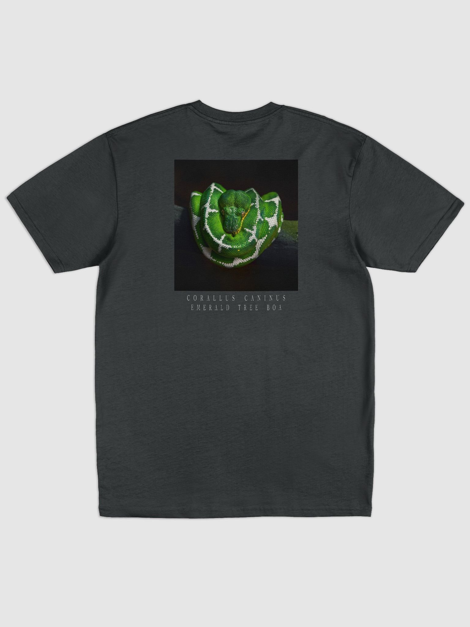 Corallus Caninus Tee product image (3)