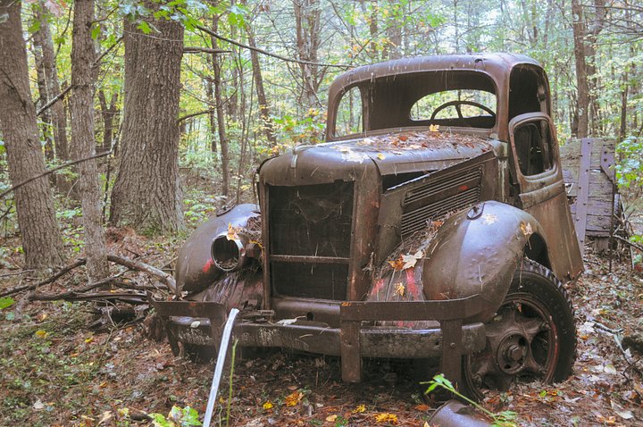Rust & Roots product image (1)