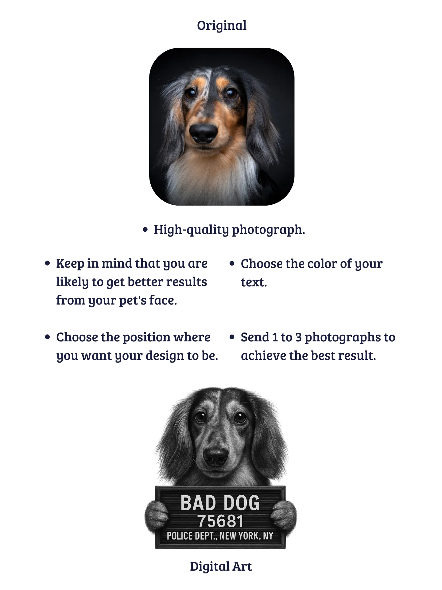 "BAD DOG" / T-SHIRT WITH PERSONALIZED NAME product image (5)