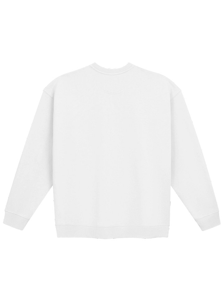 LingOrm Unisex Organic Oversized Sweatshirt product image (2)