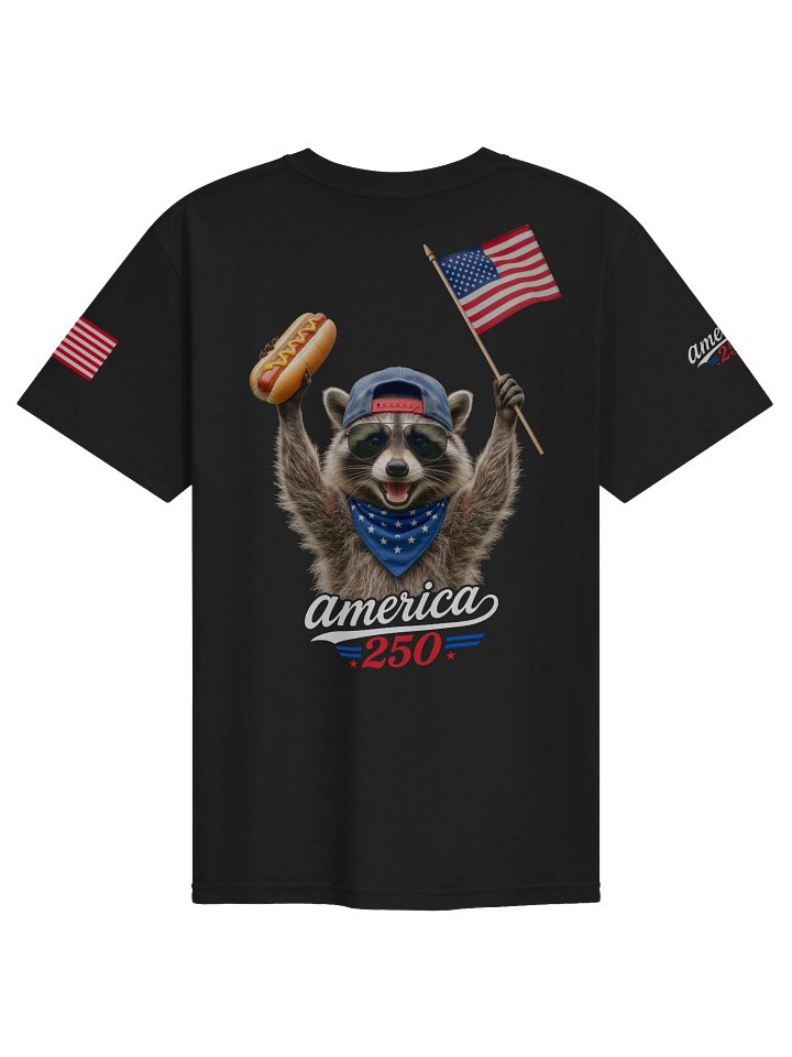America 250th Independence Racoon T-Shirt product image (3)