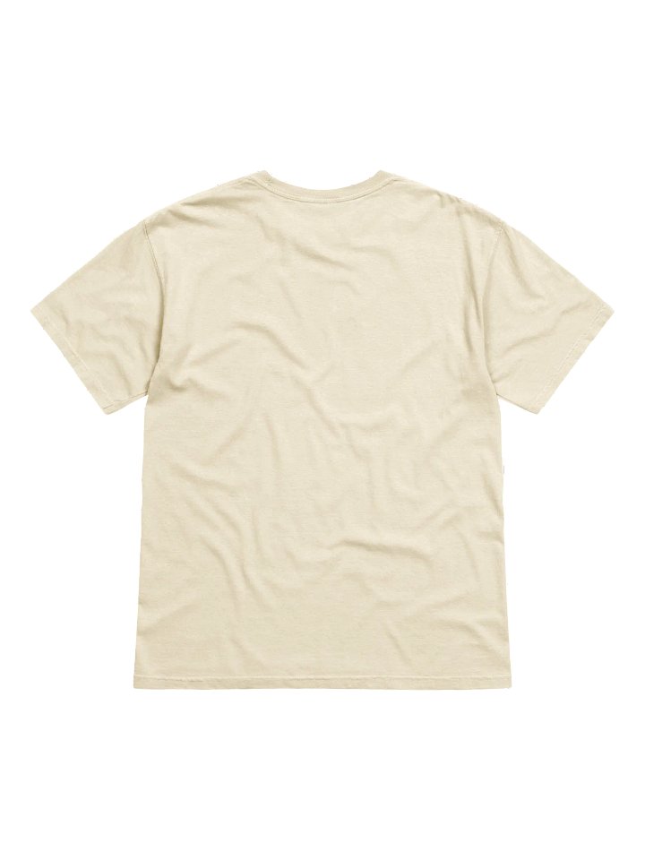 Funny Cat Mail Slot T-Shirt – Peekaboo Kitty Tee product image (5)