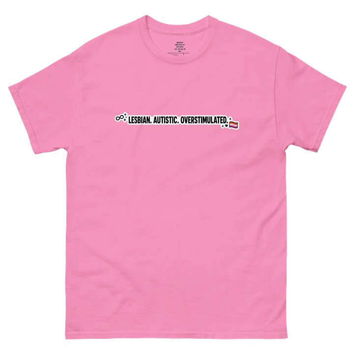 Pride 2026 Lesbian And Autistic T-shirt. product image (2)