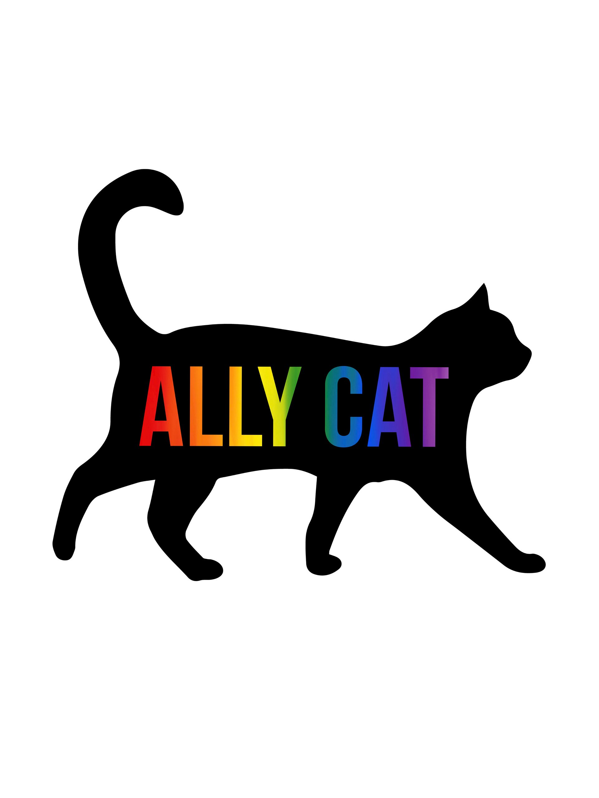 Ally Cat magnet product image (1)