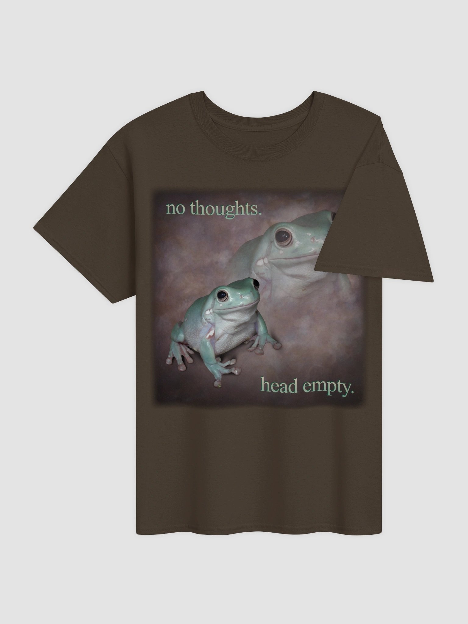 No thoughts, head empty frog T-shirt product image (16)