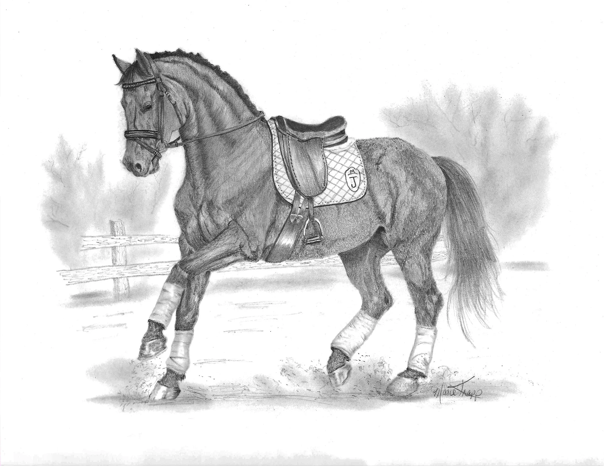 Sundancer Original Graphite Pencil Drawing product image (2)