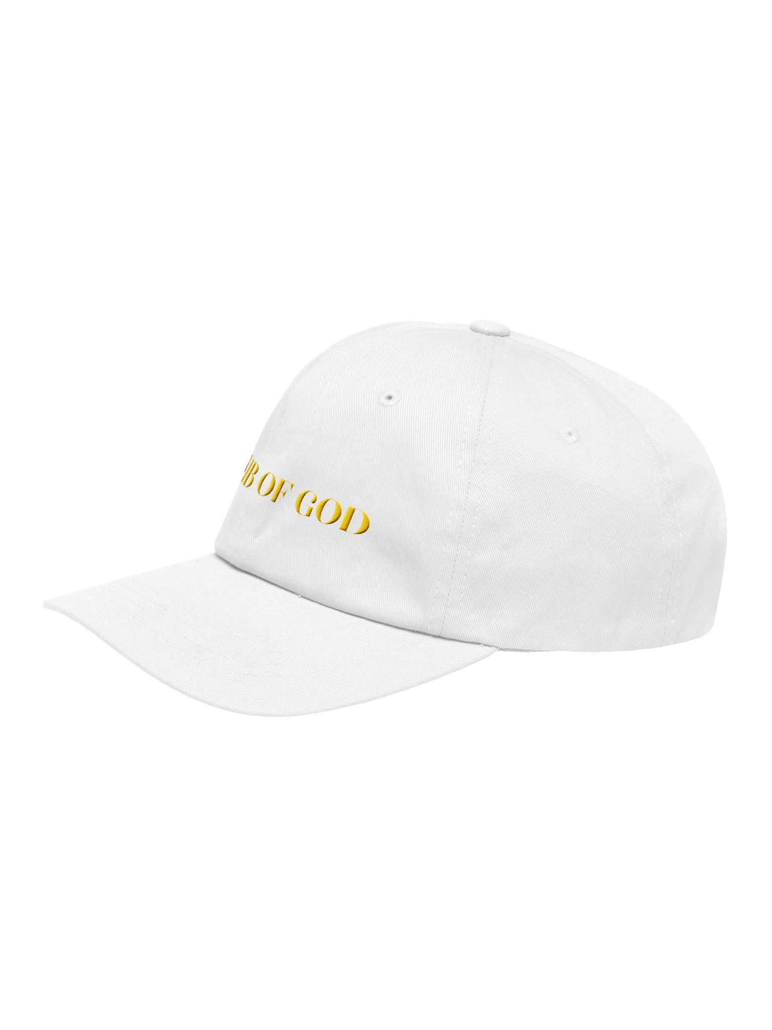 LAMB OF GOD Dad Hat Embroidered - John 1:1 Co. product image (6)