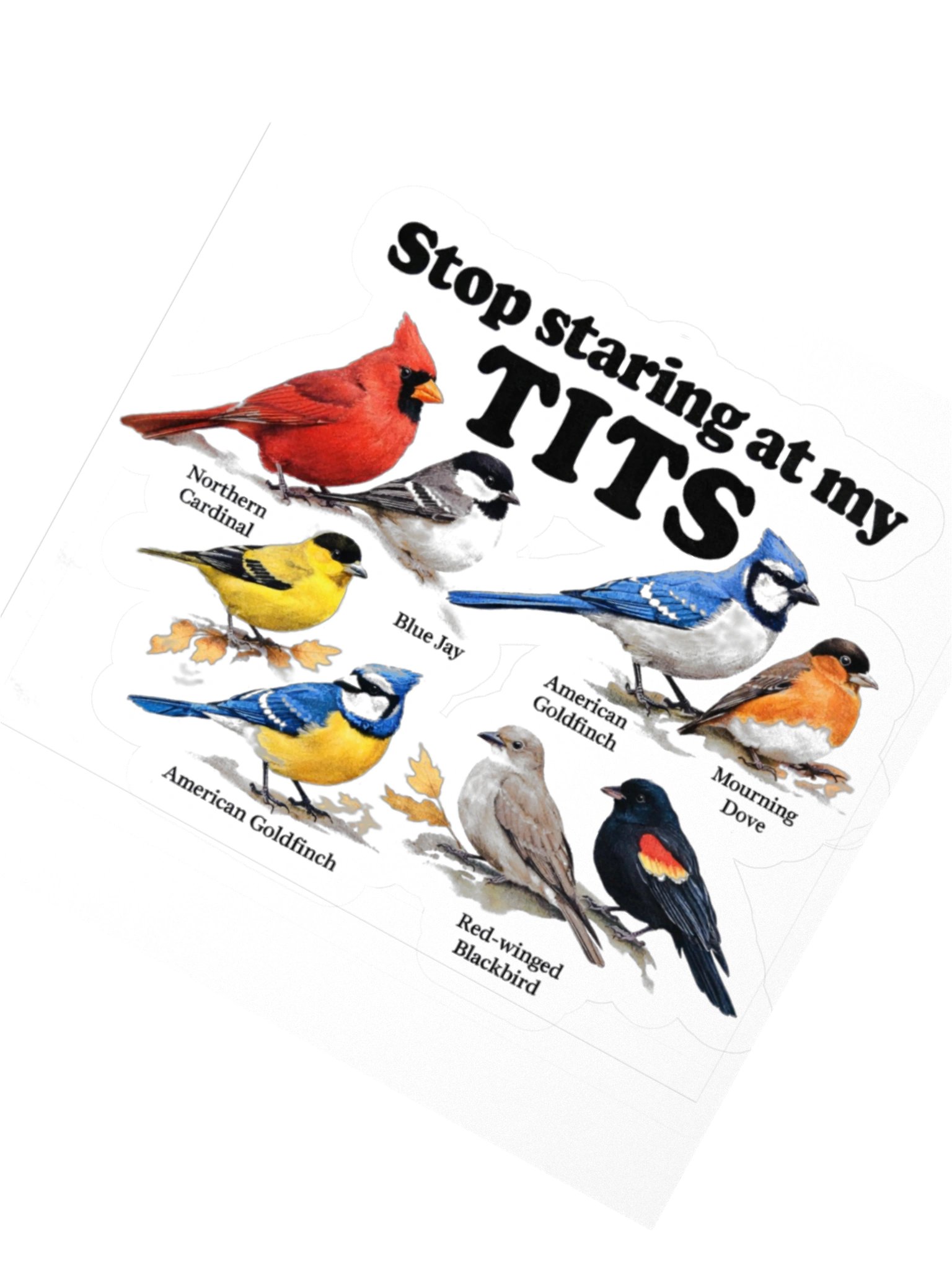 Stop Staring At My Tits Sticker product image (2)