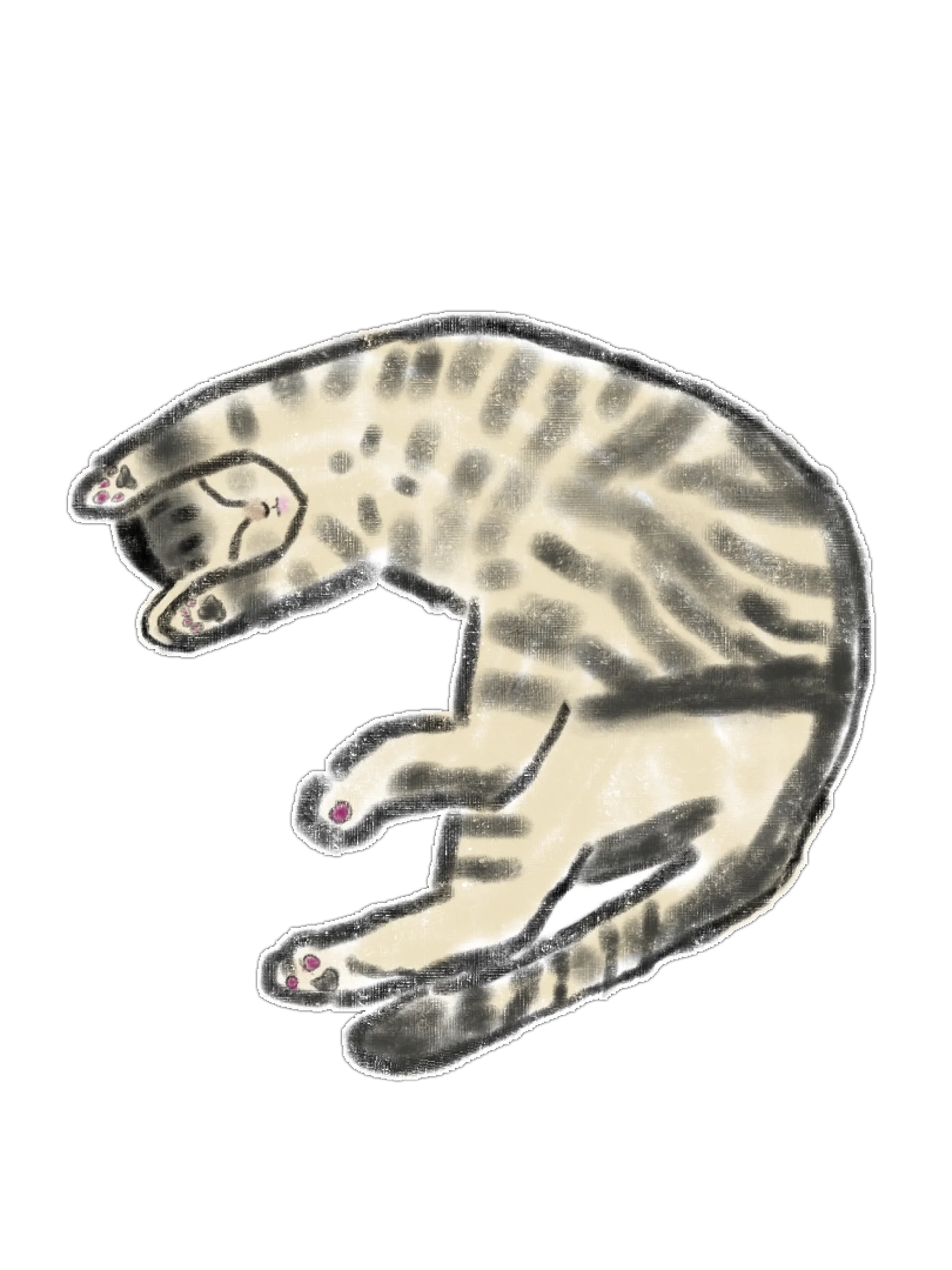 17 Hand-Drawn Cat PNG Clipart Bundle product image (10)