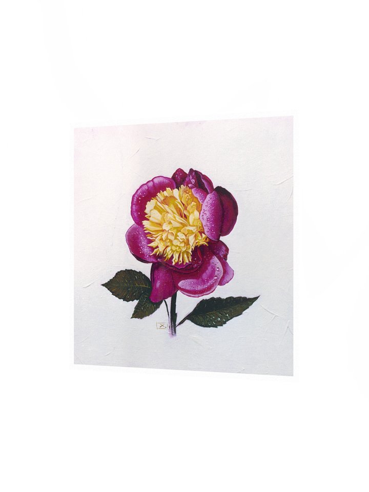Peony After the Rain product image (2)