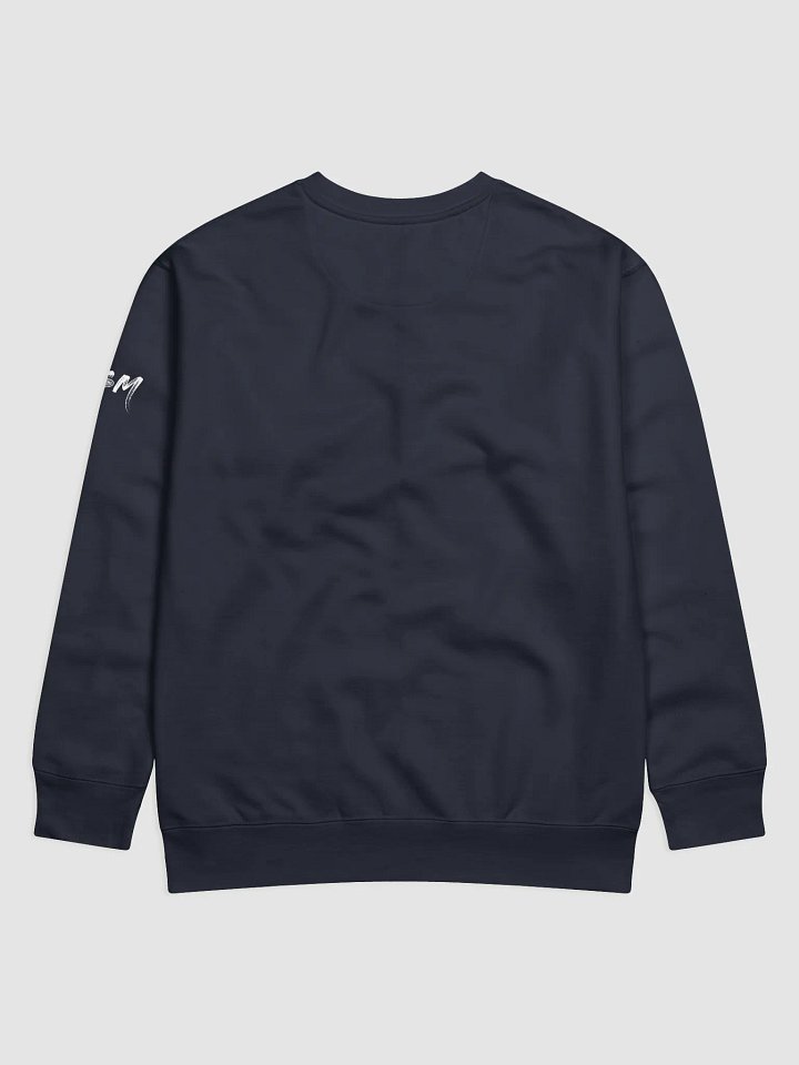 Best One In The Room Premium Sweatshirt product image (6)