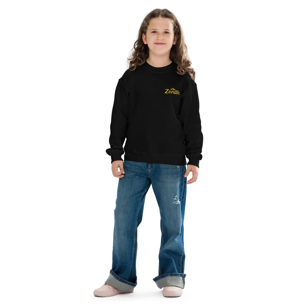TDS Music Exclusive 'ZENITH' Youth Crew Neck Sweatshirt - Comfortable, Stylish, and Durable product image (7)