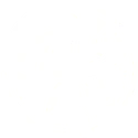 Phil Co Flows