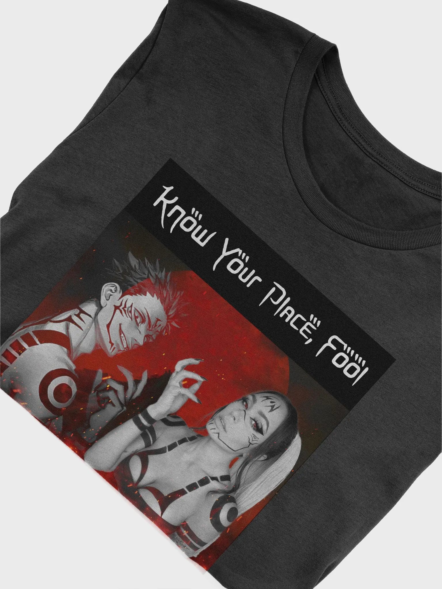Know Your Place, Fool Shirt product image (5)